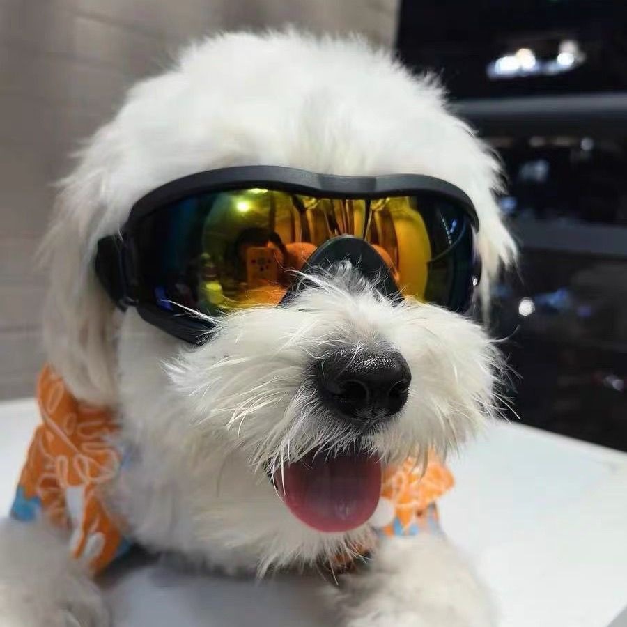Adjustable TPU Dog Sunglasses  - Snow Goggle Uv recension och pris