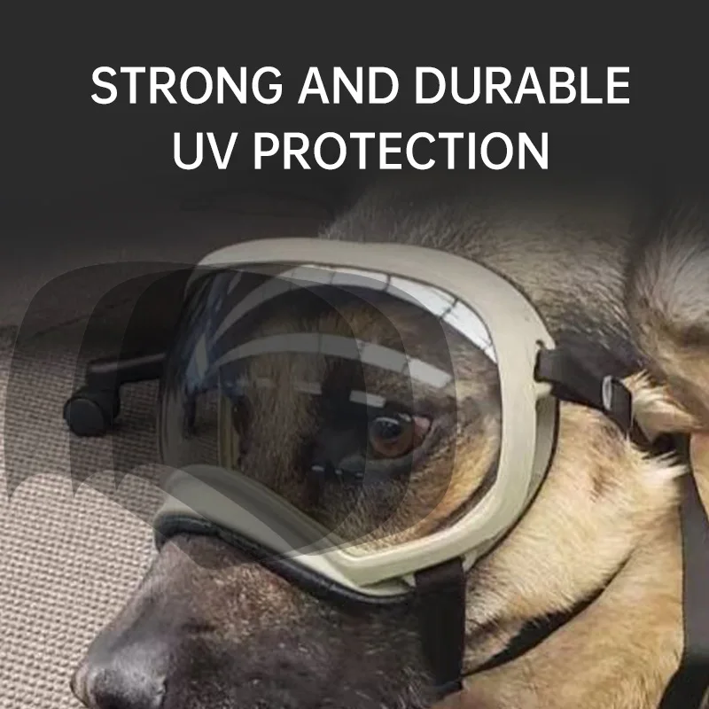 2026 Color changing pet glasse - Snow Goggle Uv recension och pris