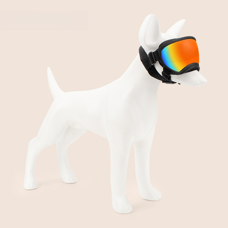Dog Goggles Outdoor Skiing Win - Snow Goggle Uv recension och pris