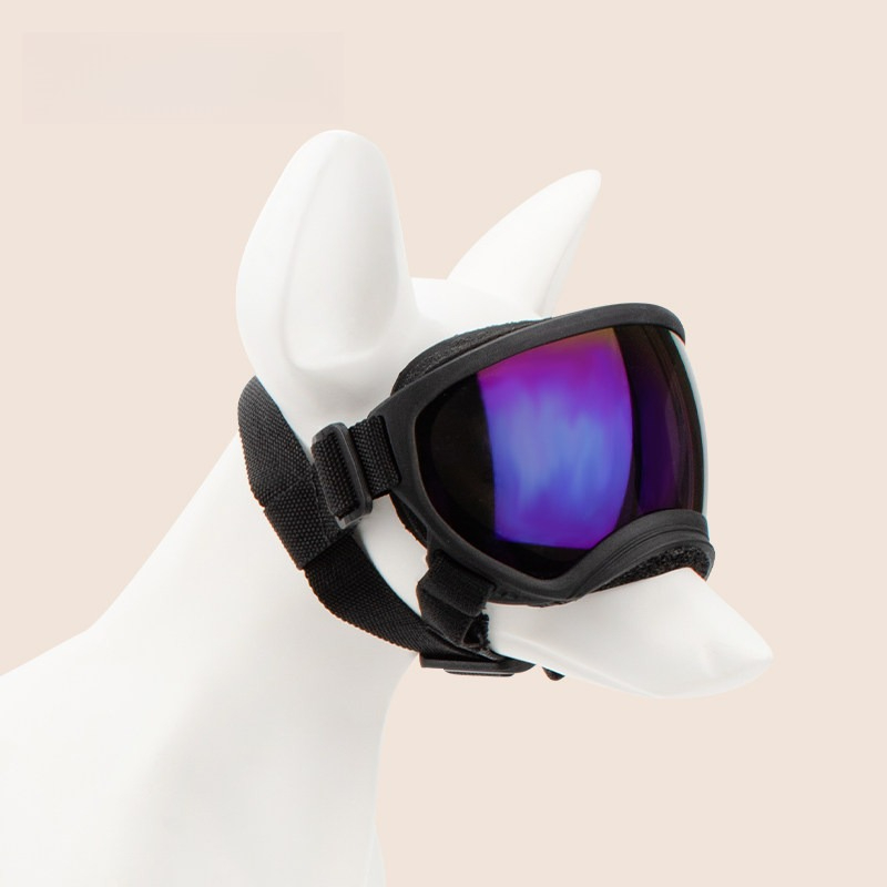 Dog Goggles Outdoor Skiing Win - Snow Goggle Uv recension och pris
