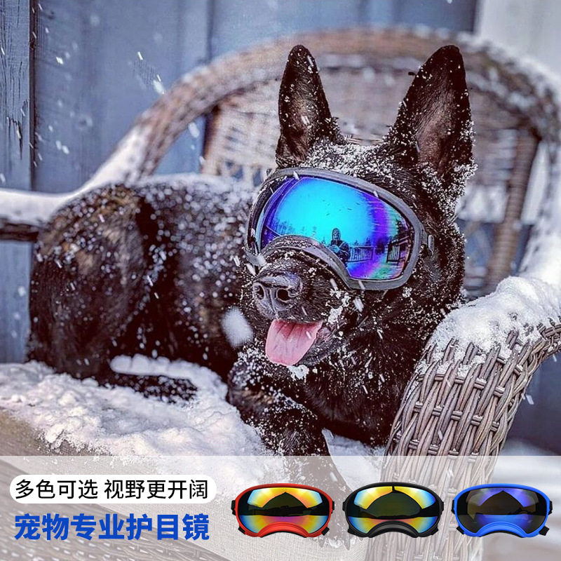 Dog Goggles Outdoor Skiing Win - Snow Goggle Uv recension och pris
