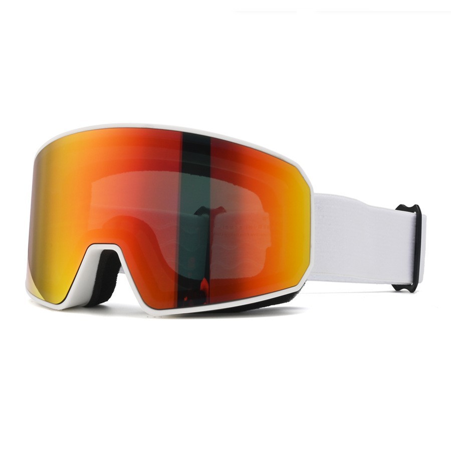 Ski Goggles Dual-Layer Anti-Fo - Snow Goggle Uv recension och pris