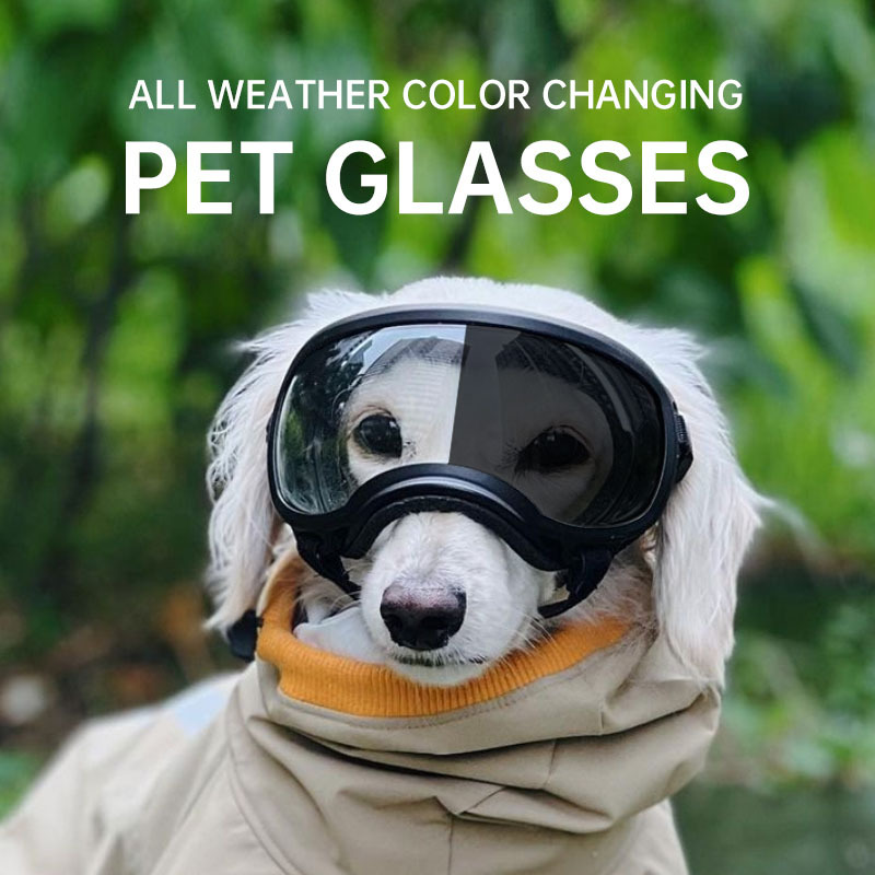 Color changing pet glasses dog - Snow Goggle Uv recension och pris