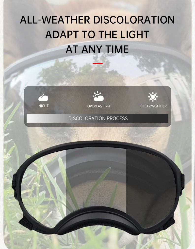 Color changing pet glasses dog - Snow Goggle Uv recension och pris